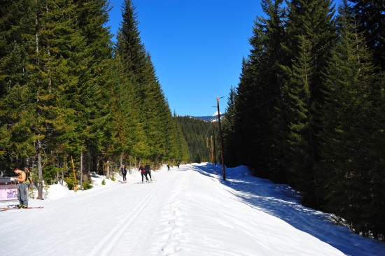 Der Schnee war etwas matschig, aber bei 5°C trotzdem noch recht gut befahrbar.